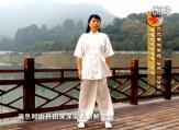 二元养生系统静悟九式《归元》